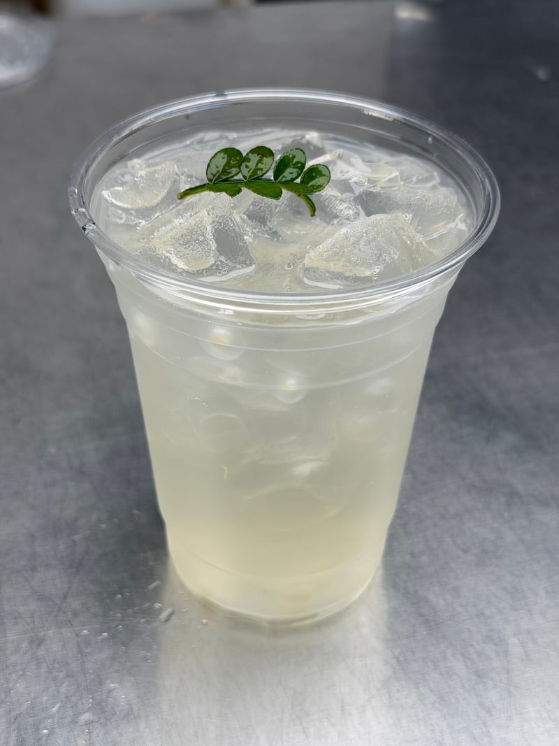 白月光椰子水